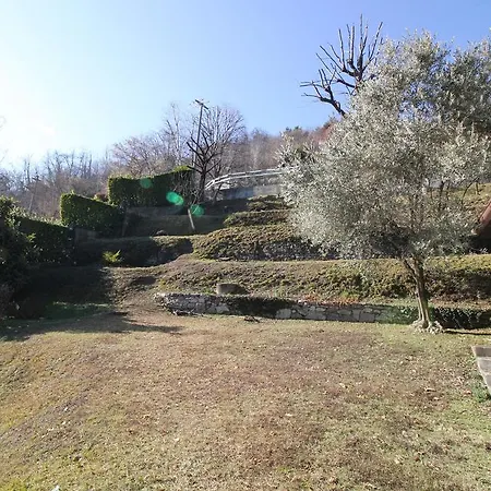 Graziella's Arona